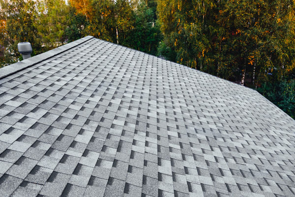 Roofing Repair Services